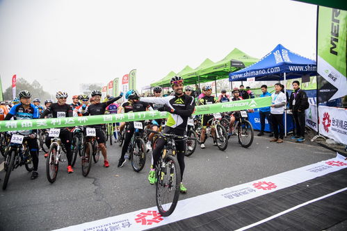 黃山腳下的較量 美利達(dá)杯國際自行車賽