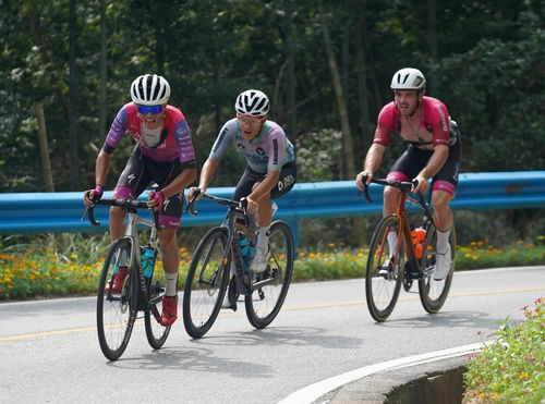 自行車 環(huán)鄱陽湖國際自行車大賽進行第五賽段的比賽