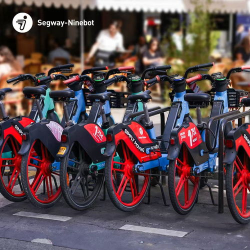 九號(hào)公司上半年業(yè)績(jī)創(chuàng)新高,實(shí)現(xiàn)營(yíng)收66.66億元