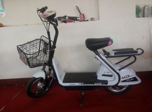 天津市薊縣薊邦電動(dòng)車制造廠 專業(yè)電動(dòng)自行車制造引領(lǐng)綠色出行